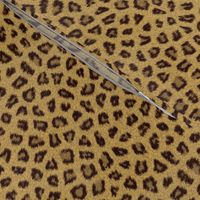 Realistic Leopard Animal Print Fur Texture