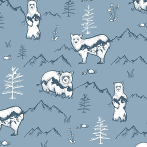 Bears & Mountains