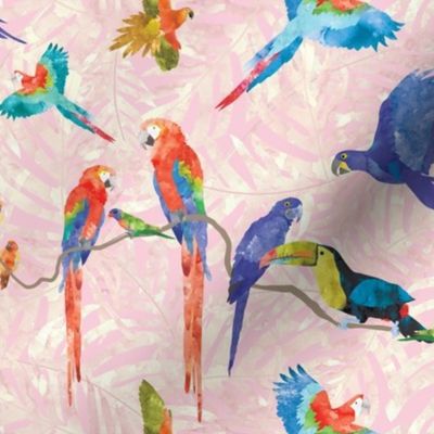 Rainforest Birds - Pink