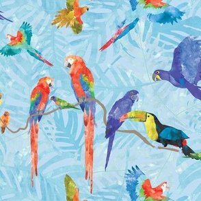 Rainforest Birds - Blue