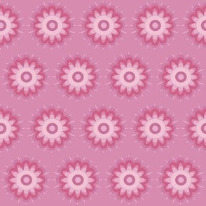 pink mini daisy