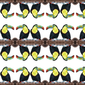 toucanportrait_copy