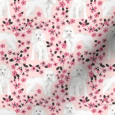 toy poodle cherry blossom fabric spring floral dogs design - pink