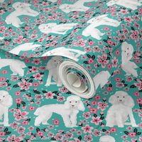 toy poodle cherry blossom fabric spring floral dogs design - turquoise