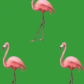 Flamingo Park - Green 