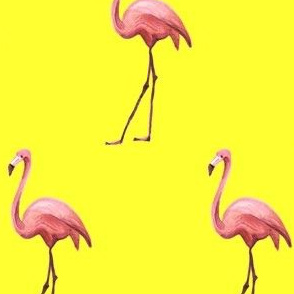 Flamingo Park - Bright Yellow