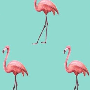 Flamingo - Light Aqua