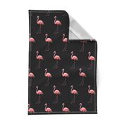 Flamingo Park - Black