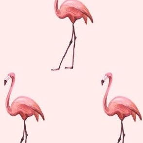 Flamingo Park Pink Flamingo