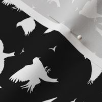 Birds in flight_black and white