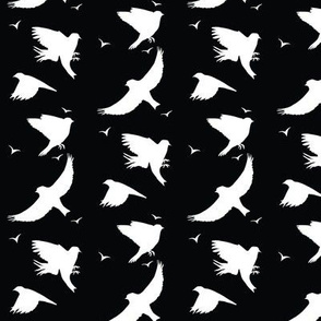 Birds in flight_black and white