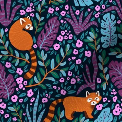 Red pandas in the bush
