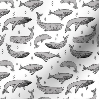 whales // whale fabric grey by andrea lauren 