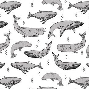 whales // whale fabric grey by andrea lauren 