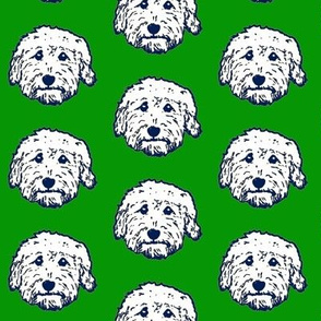 Goldendoodles - adorable doodle dogs in green