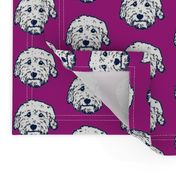 Goldendoodles - adorable doodle dogs in purple