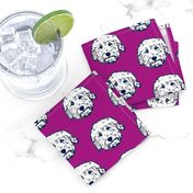 Goldendoodles - adorable doodle dogs in purple
