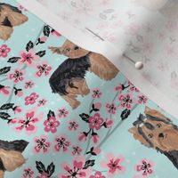 yorkie cherry blossom fabric - yorkshire terrier dog fabric cherry blossoms fabric - blue tint