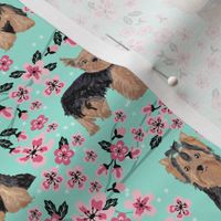yorkie cherry blossom fabric - yorkshire terrier dog fabric cherry blossoms fabric- aqua