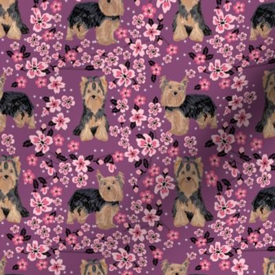 yorkie cherry blossom fabric - yorkshire terrier dog fabric cherry blossoms fabric - amethyst