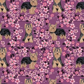 yorkie cherry blossom fabric - yorkshire terrier dog fabric cherry blossoms fabric - amethyst
