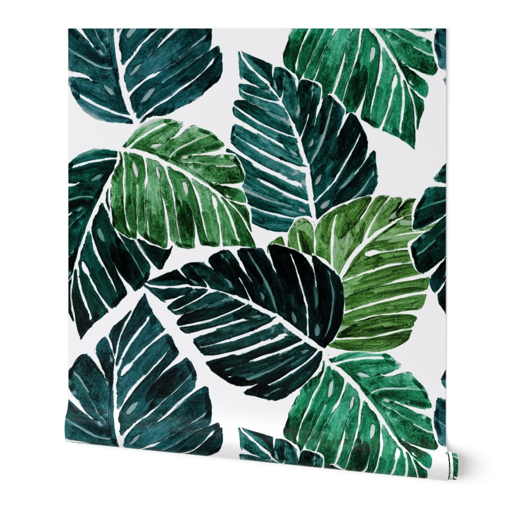 Monstera Leaves