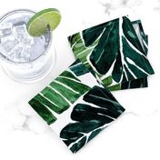 Monstera Leaves