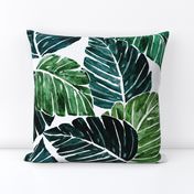 Monstera Leaves