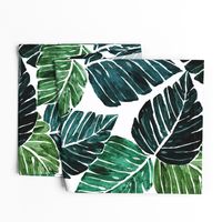 Monstera Leaves