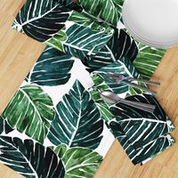 Monstera Leaves