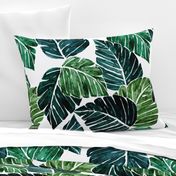 Monstera Leaves