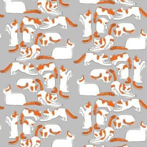 Orange and White Cats on Gray