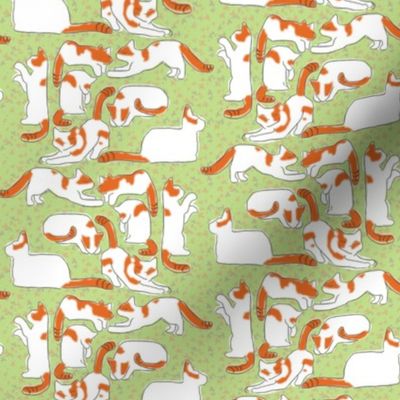 Orange and White Cats on Green