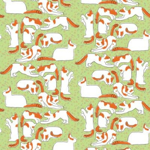 Orange and White Cats on Green