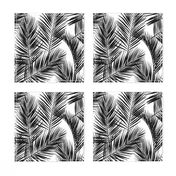 palm leaves - black on white, small. silhuettes tropical forest black white hot summer palm plant tree leaves fabric wallpaper giftwrap