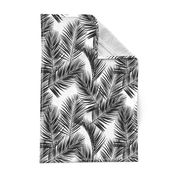 palm leaves - black on white, small. silhuettes tropical forest black white hot summer palm plant tree leaves fabric wallpaper giftwrap