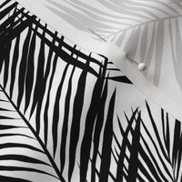 palm leaves - black on white, small. silhuettes tropical forest black white hot summer palm plant tree leaves fabric wallpaper giftwrap