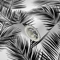 palm leaves - black on white, small. silhuettes tropical forest black white hot summer palm plant tree leaves fabric wallpaper giftwrap