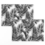 palm leaves - black on white, small. silhuettes tropical forest black white hot summer palm plant tree leaves fabric wallpaper giftwrap