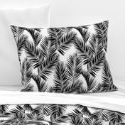 palm leaves - black on white, small. silhuettes tropical forest black white hot summer palm plant tree leaves fabric wallpaper giftwrap