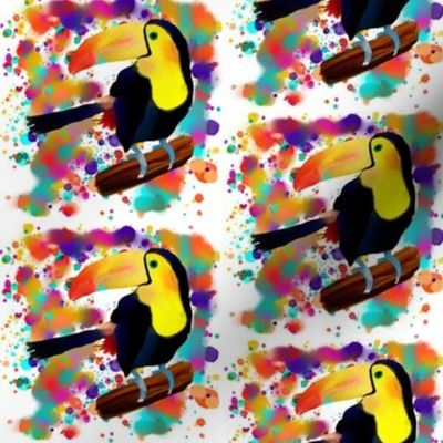 PAINTED TOUCAN and PAINTING SPLASH SPRAY COLORS  WHITE