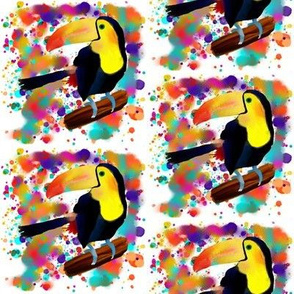 PAINTED TOUCAN and PAINTING SPLASH SPRAY COLORS  WHITE