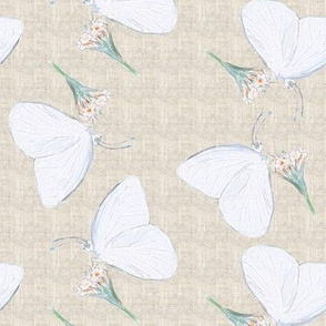 Great Southern White Butterfly Colored Pencil