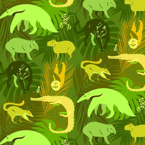 rainforest animals in lime