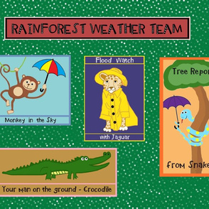 RainforestWeatherTeam