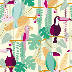 rainforest birds