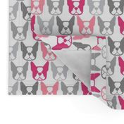 Bostons in a row - Terrier faces in pinks and grays