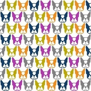 Boston Terrier fabric - Boston Terrier faces in orange, purple, lime green, gray and navy