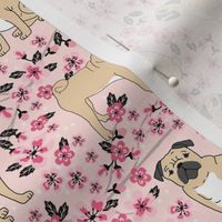 pug dog fabric cherry blossom spring fabric - cute dog design - blossom pink