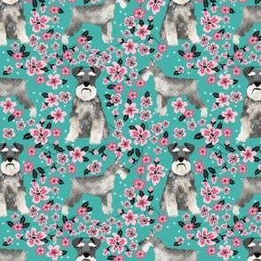schnauzer dog fabric cherry blossom spring fabric - cute dog design - turquoise